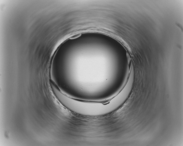 X0000096481530200802071908