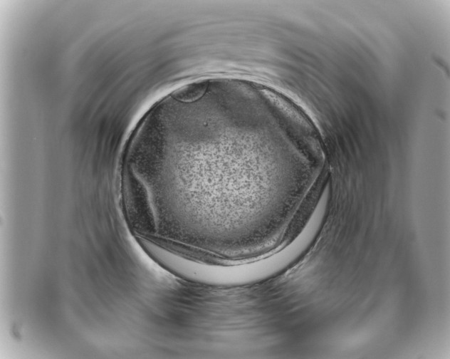 X0000096481531200802071908