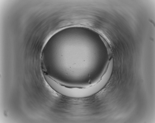 X0000096481532200802071908