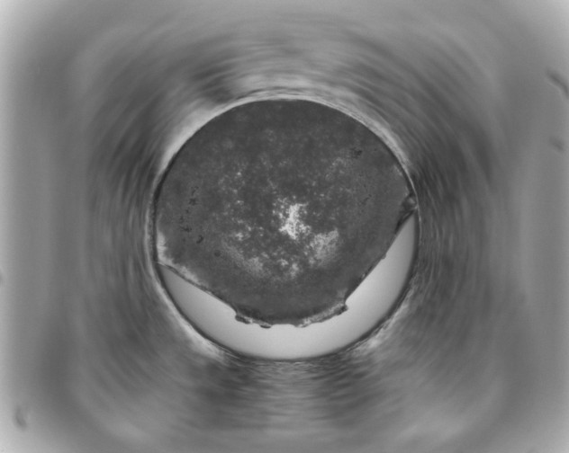 X0000096481533200802071908