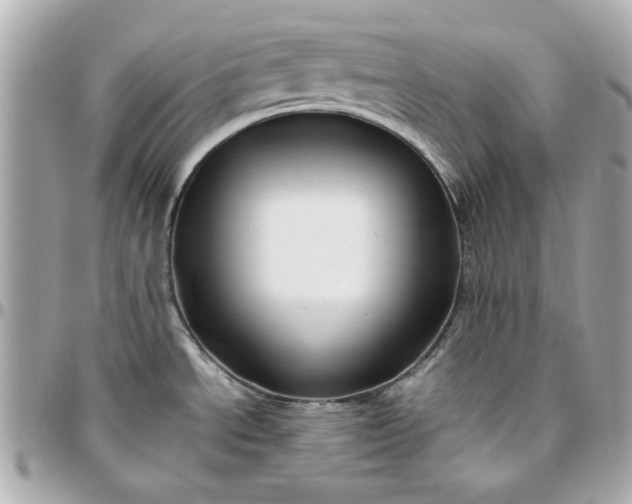 X0000096481534200802071908