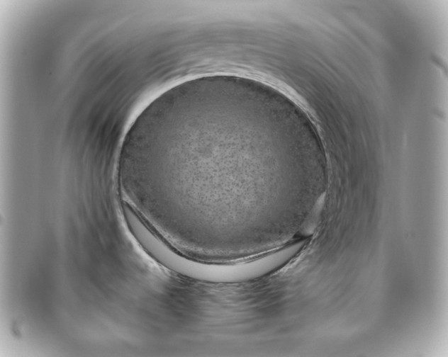 X0000096481536200802071908