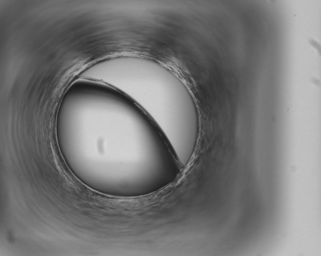 X0000096480001200802141733