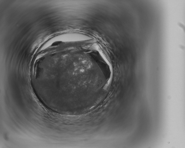 X0000096480002200802141733