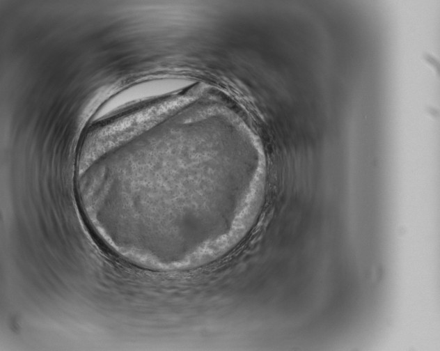 X0000096480003200802141733