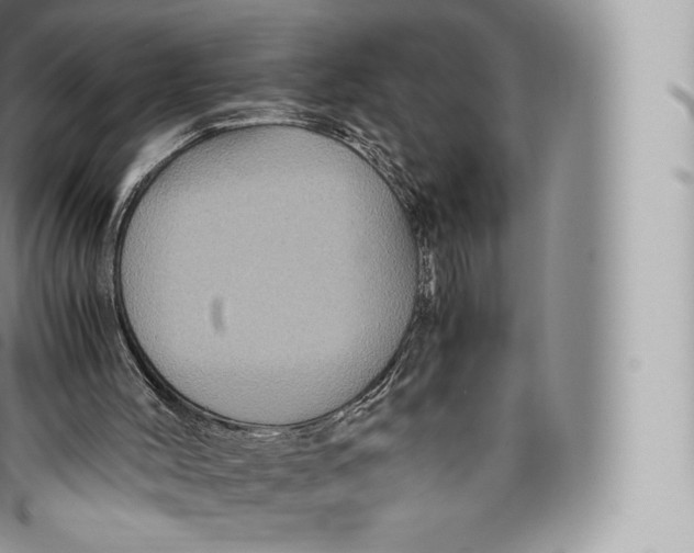 X0000096480004200802141733