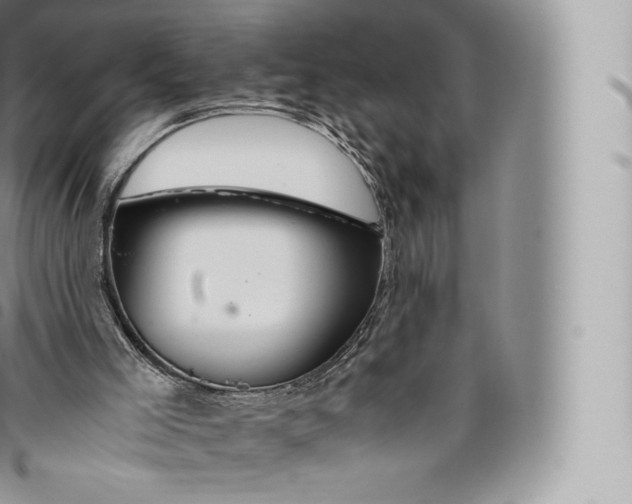 X0000096480005200802141733