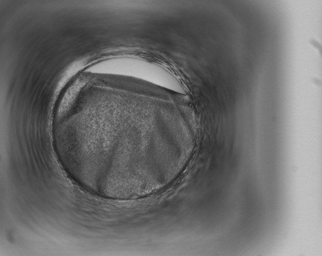 X0000096480006200802141733