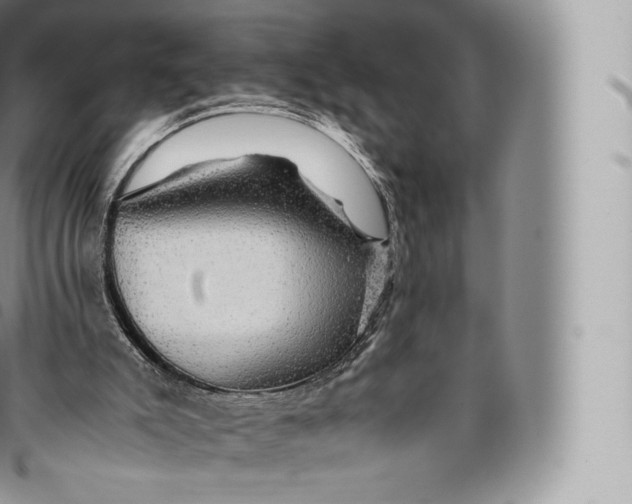 X0000096480007200802141733