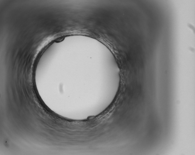 X0000096480008200802141733