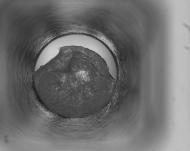 X0000096480009200802141733