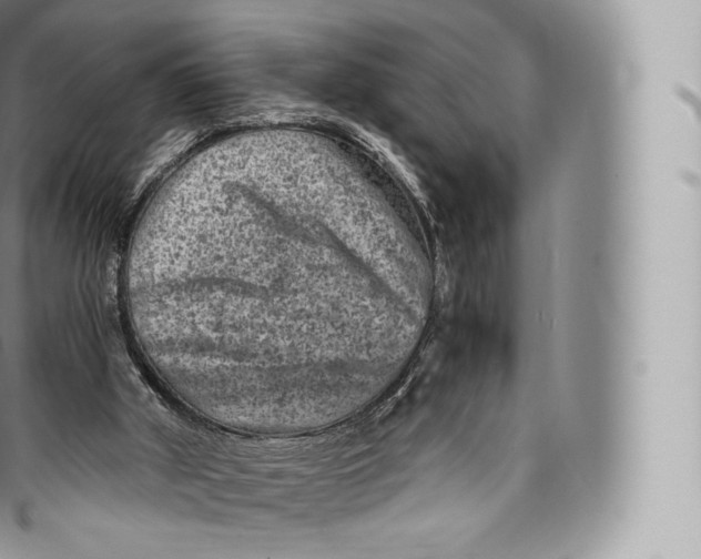 X0000096480010200802141733