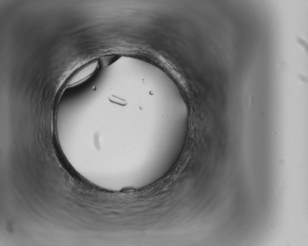 X0000096480011200802141733