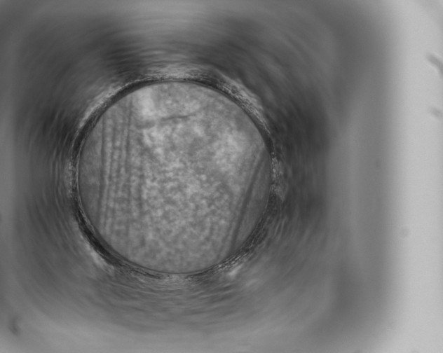 X0000096480012200802141733