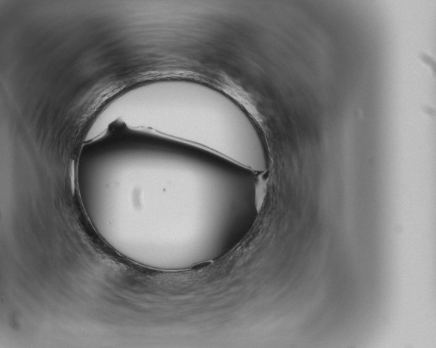 X0000096480013200802141733