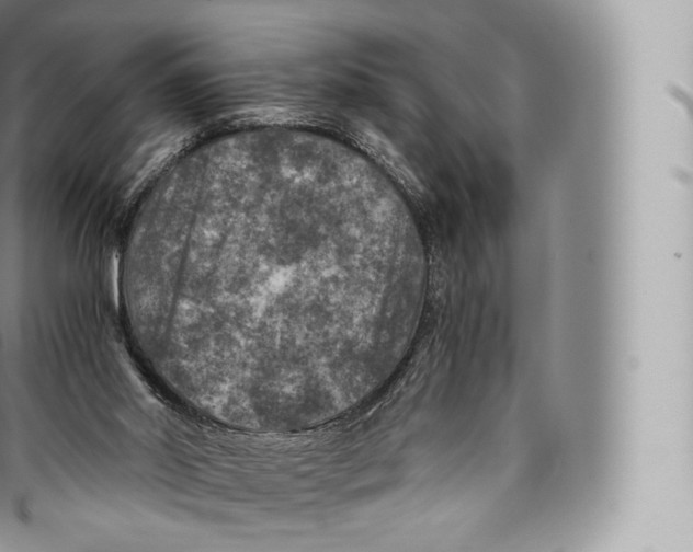 X0000096480014200802141733