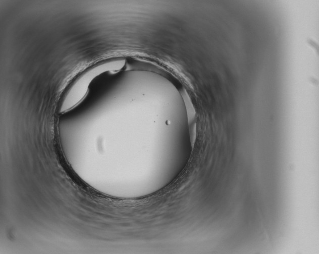 X0000096480015200802141733