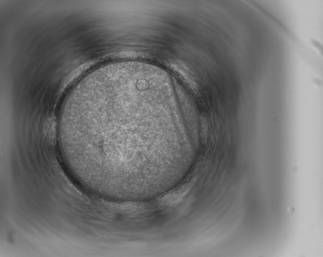 X0000096480016200802141733