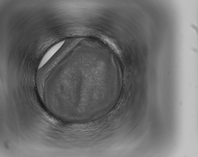 X0000096480017200802141732