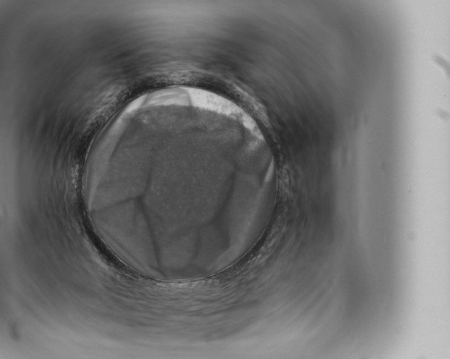 X0000096480018200802141732