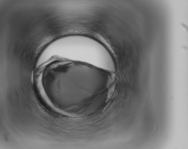 X0000096480019200802141732