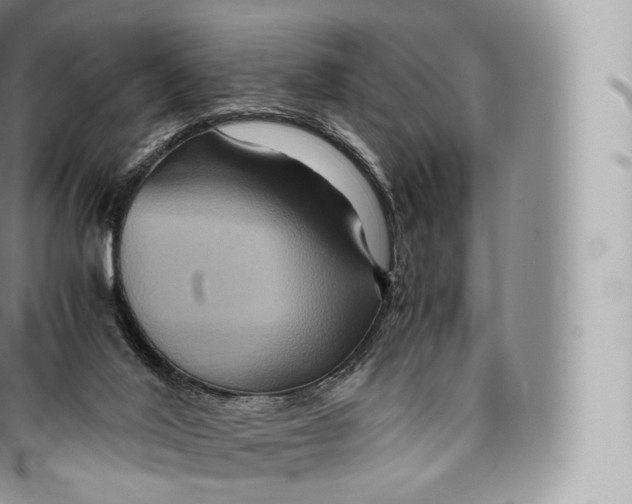 X0000096480020200802141732