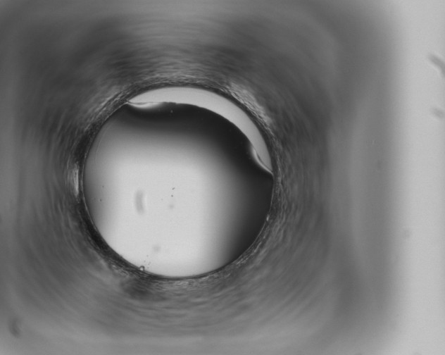 X0000096480021200802141732