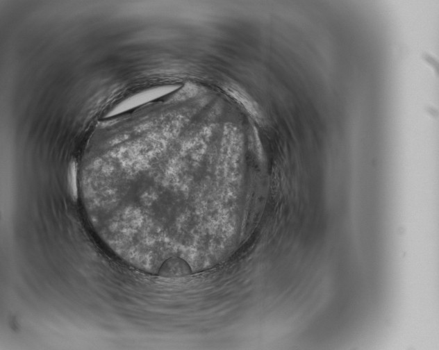 X0000096480022200802141732