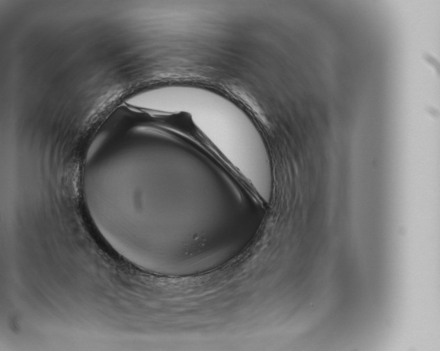 X0000096480023200802141732