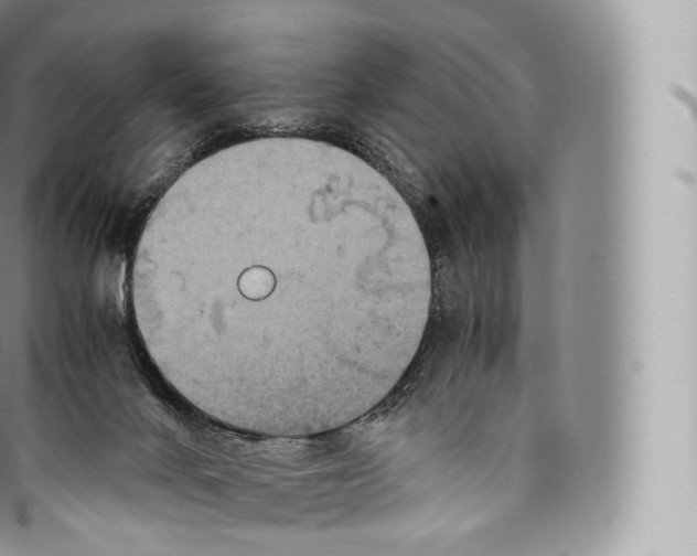 X0000096480024200802141732