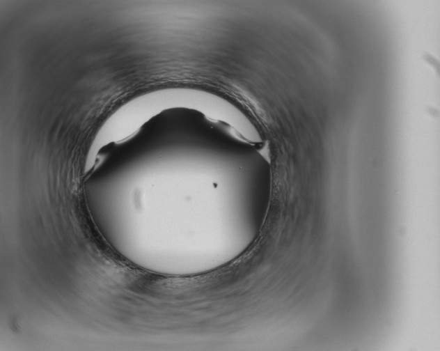 X0000096480025200802141732