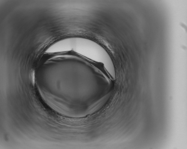 X0000096480027200802141732