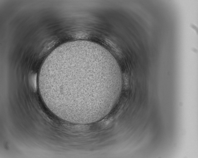 X0000096480028200802141732