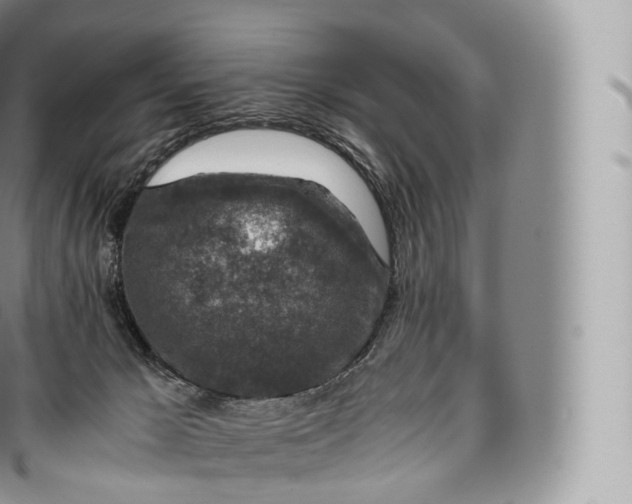 X0000096480029200802141732