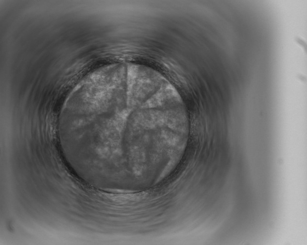 X0000096480030200802141732