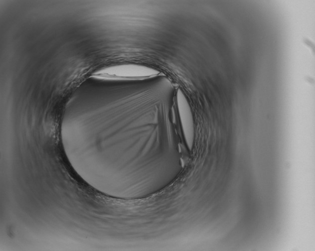 X0000096480031200802141732