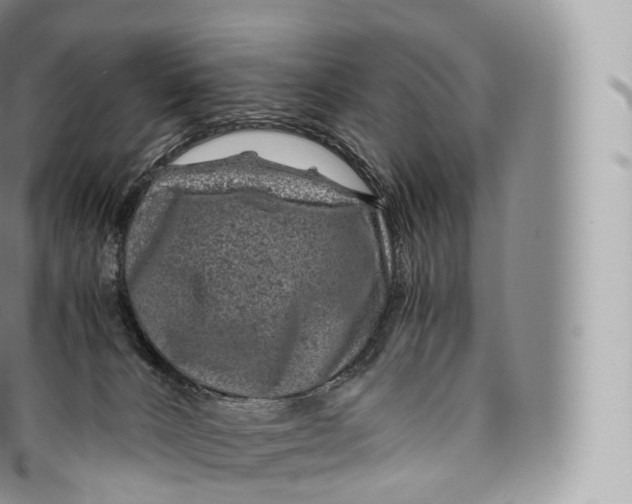 X0000096480032200802141732