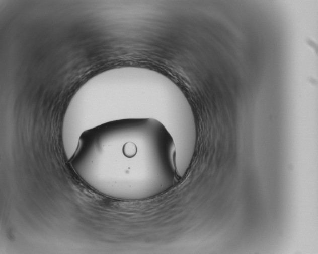 X0000096480033200802141732