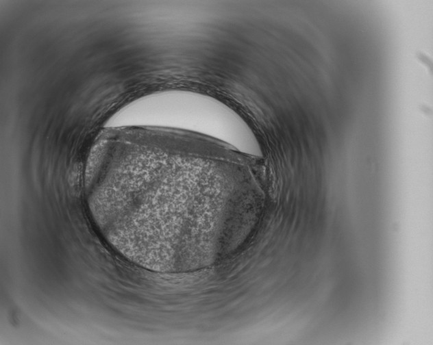 X0000096480034200802141732