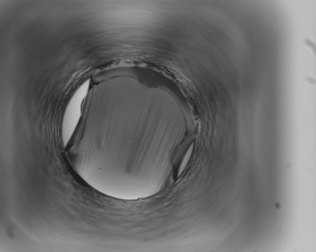 X0000096480035200802141732