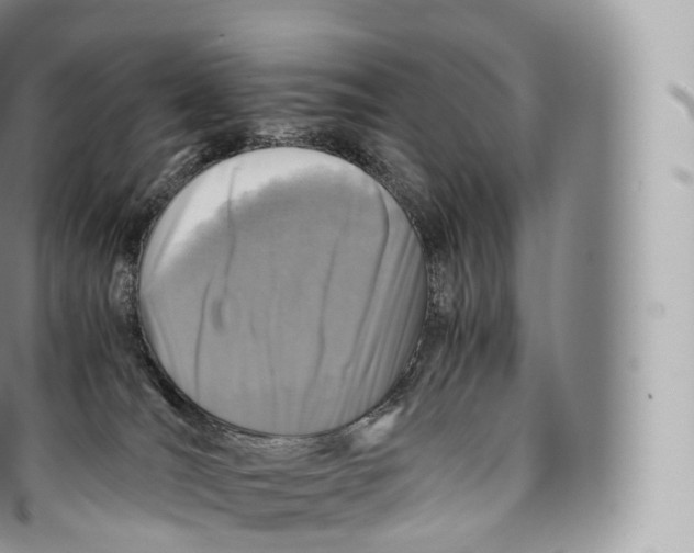 X0000096480036200802141732