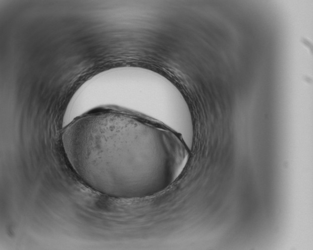 X0000096480037200802141732