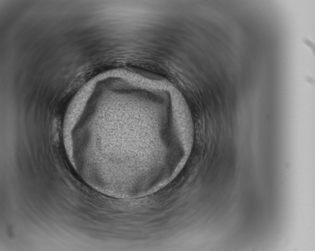 X0000096480038200802141732