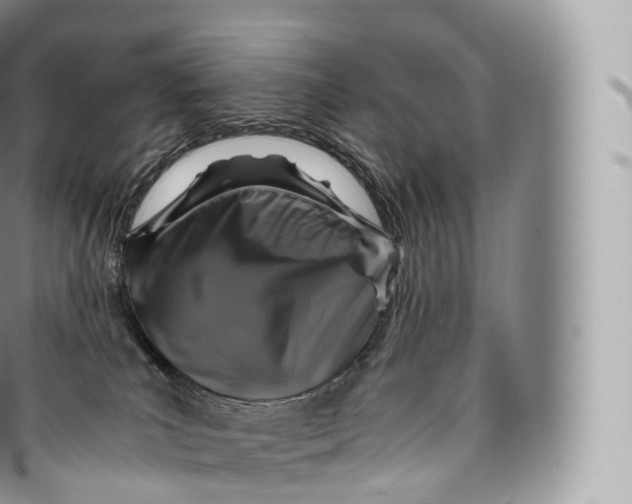 X0000096480039200802141732