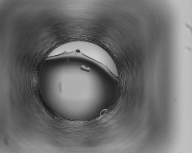 X0000096480040200802141732