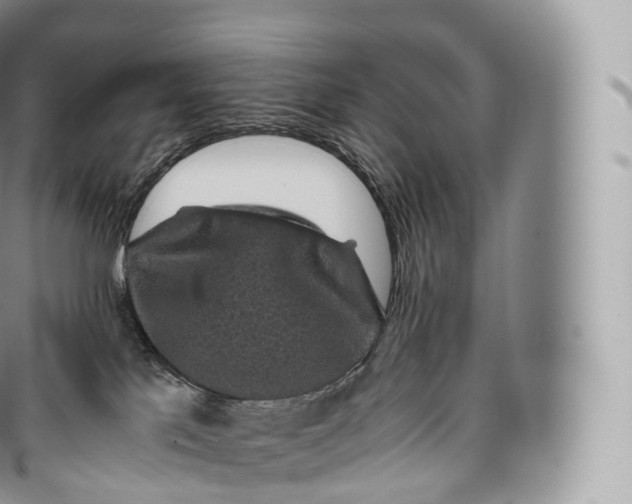 X0000096480041200802141732