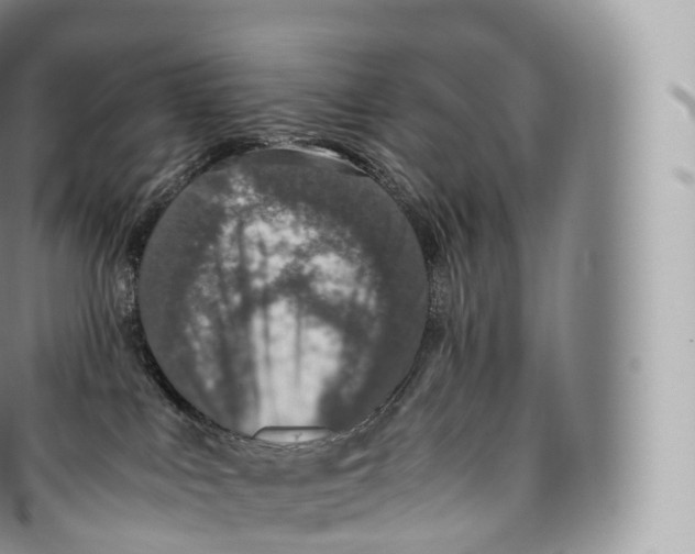 X0000096480043200802141732