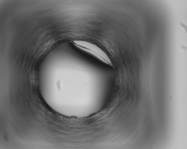 X0000096480044200802141732