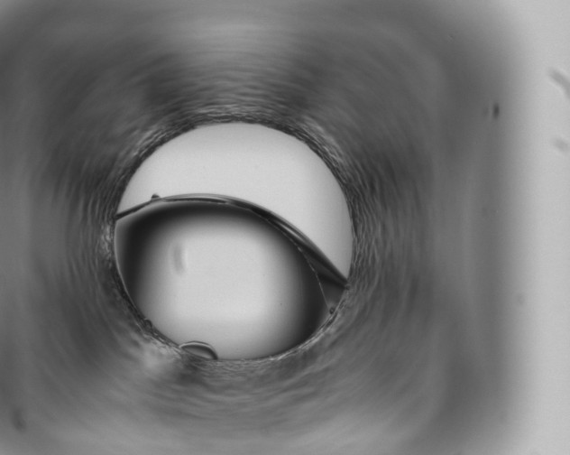 X0000096480045200802141732