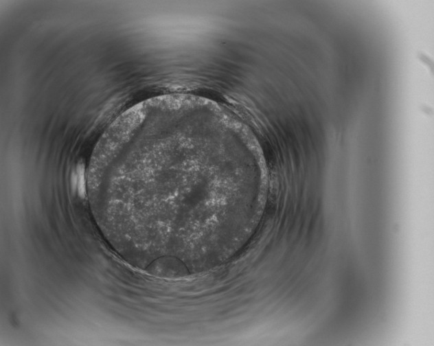 X0000096480046200802141732